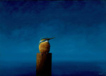 ijsvogel op paaltje op horizon   26.8 x 19.3 cm (verkocht)